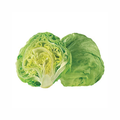 ICEBERG LETTUCE BY EACH