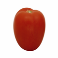 PLUM TOMATO BY POUND